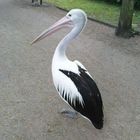 im Tierpark, ging neben mir spazieren:)