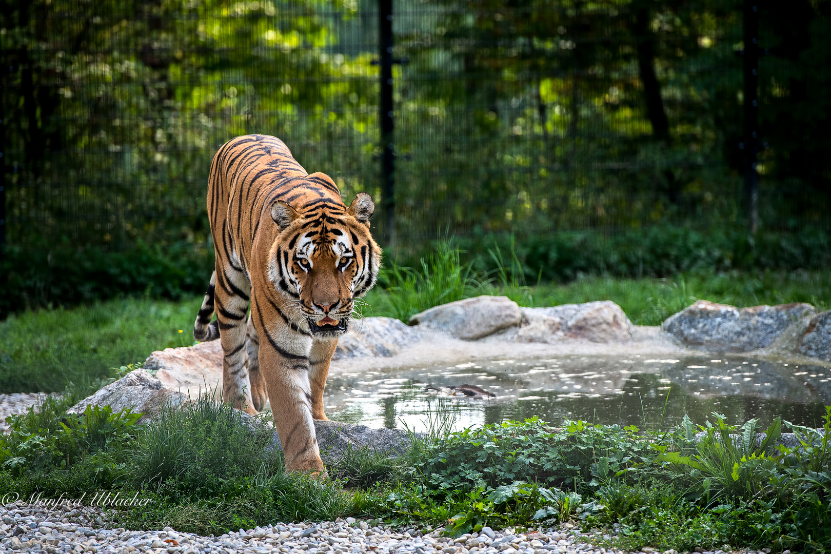 Im Tierpark Haag ...