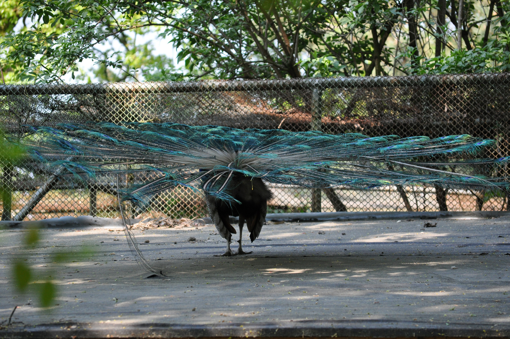 Im Tierpark Hamm