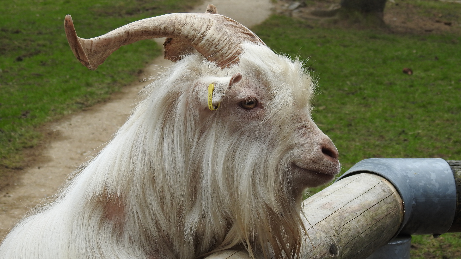 Im Tierpark Lohberg 1