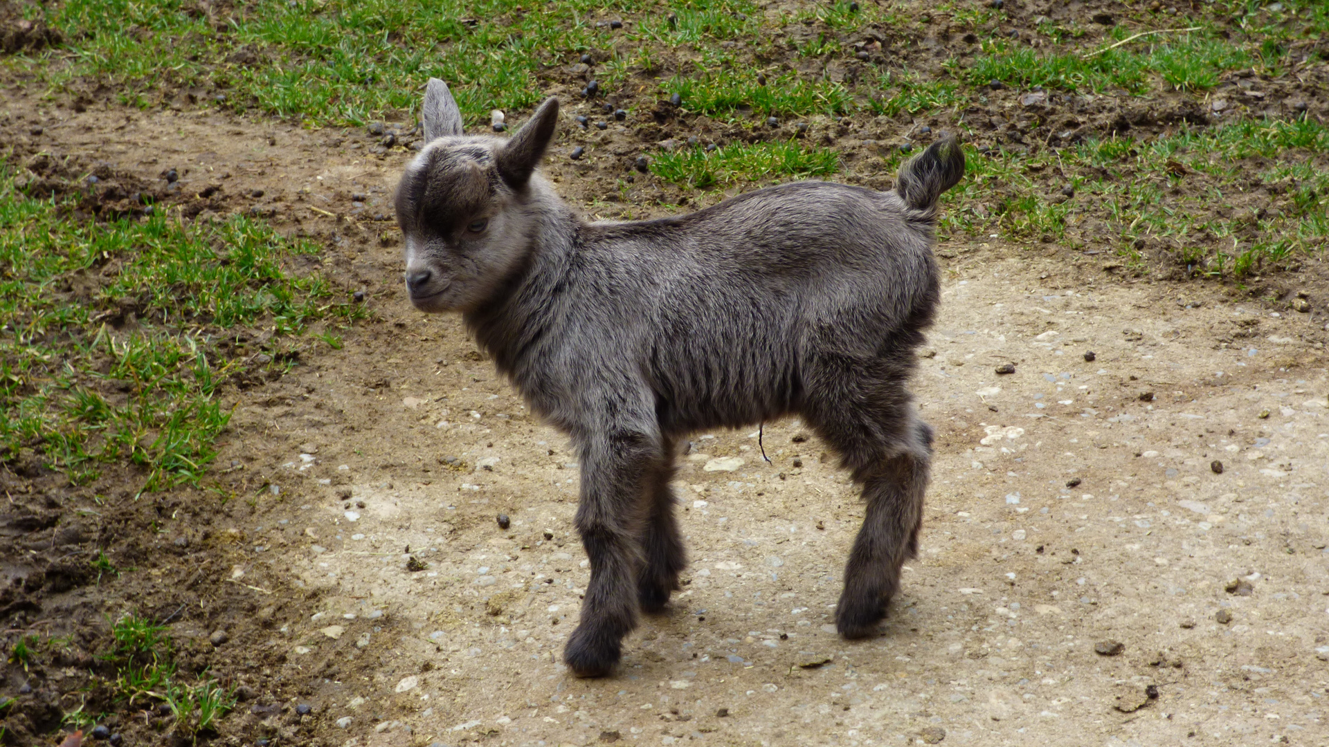 Im Tierpark Lohberg 3