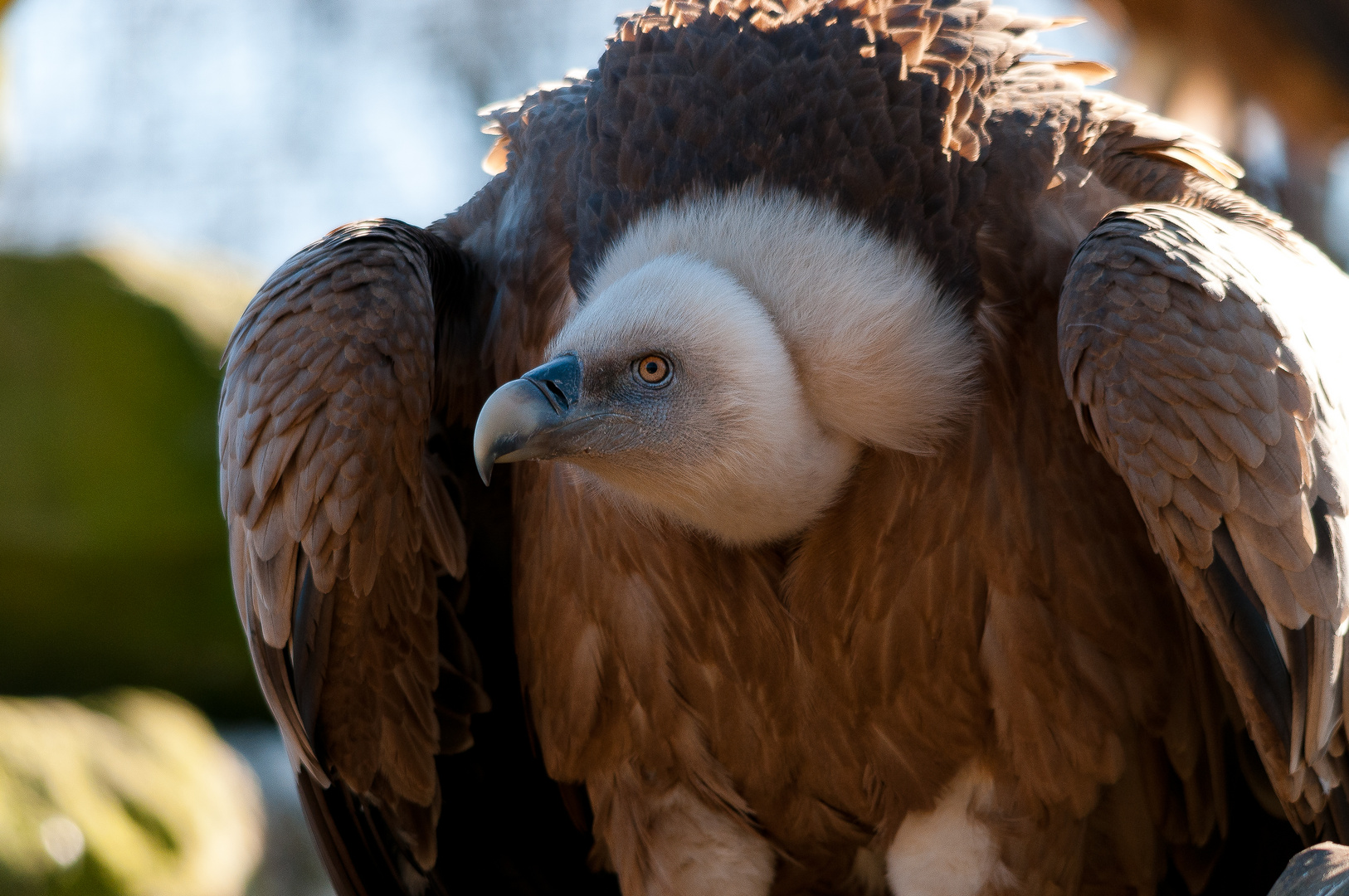 ... im Tierpark Nordhorn