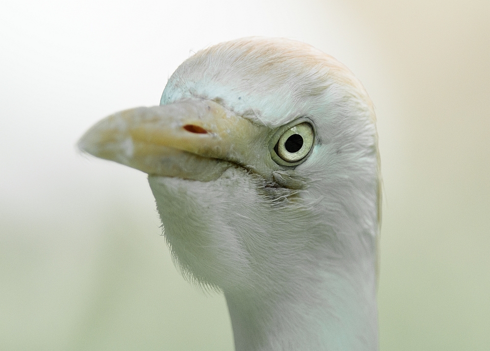 Im Tierpark Nürnberg