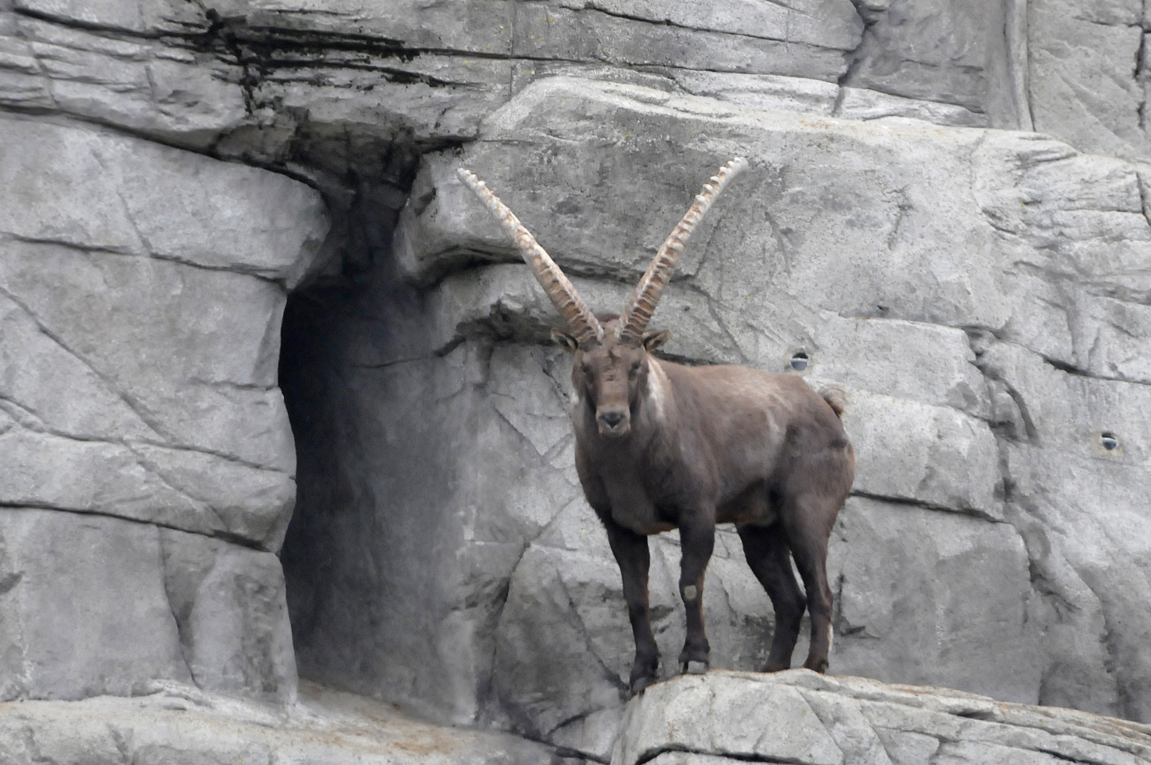 Im Tierpark Peter und Paul, St. Gallen