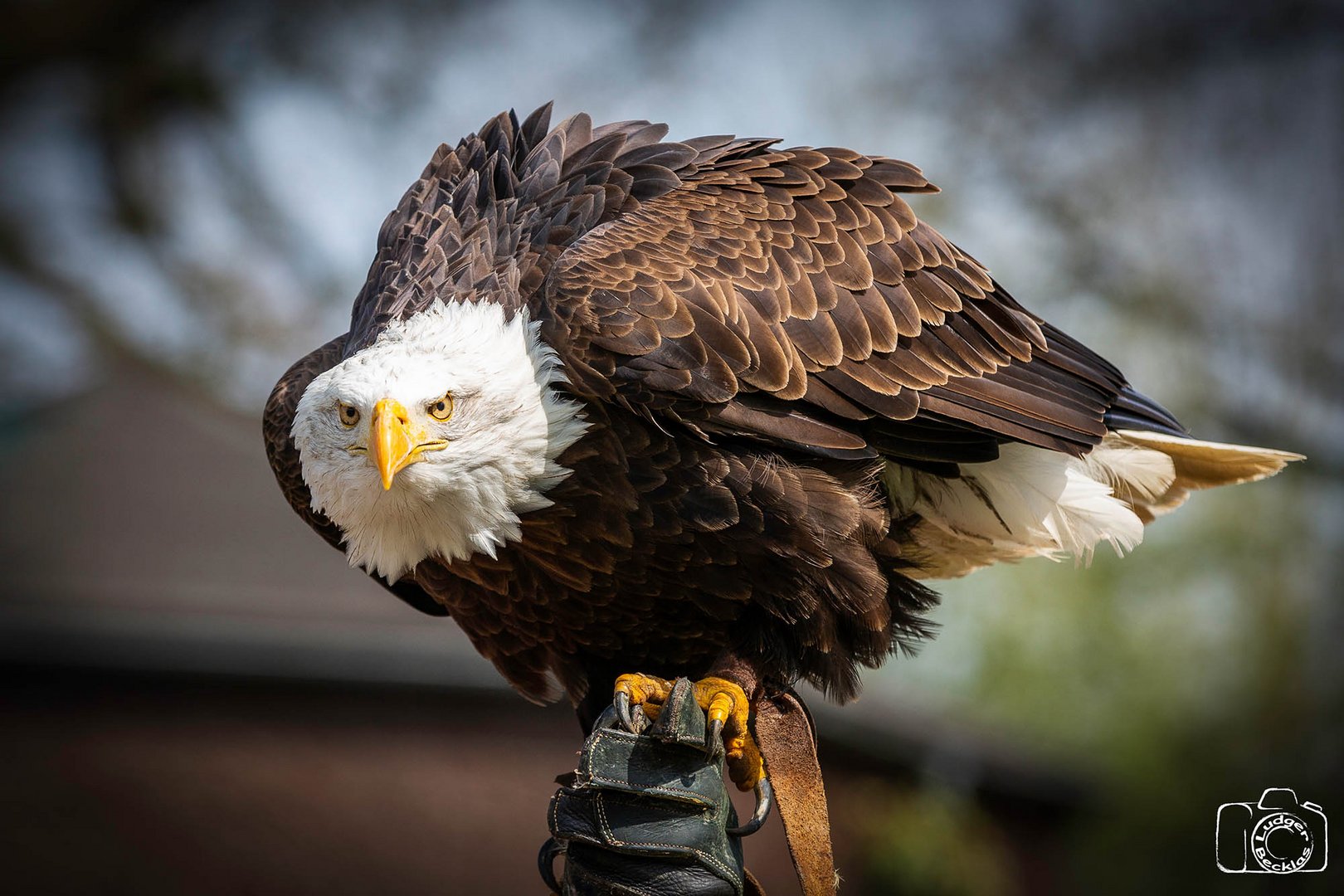 Im Tierpark Sababurg 03