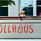 im TOLLHAUS 