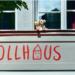 im TOLLHAUS 