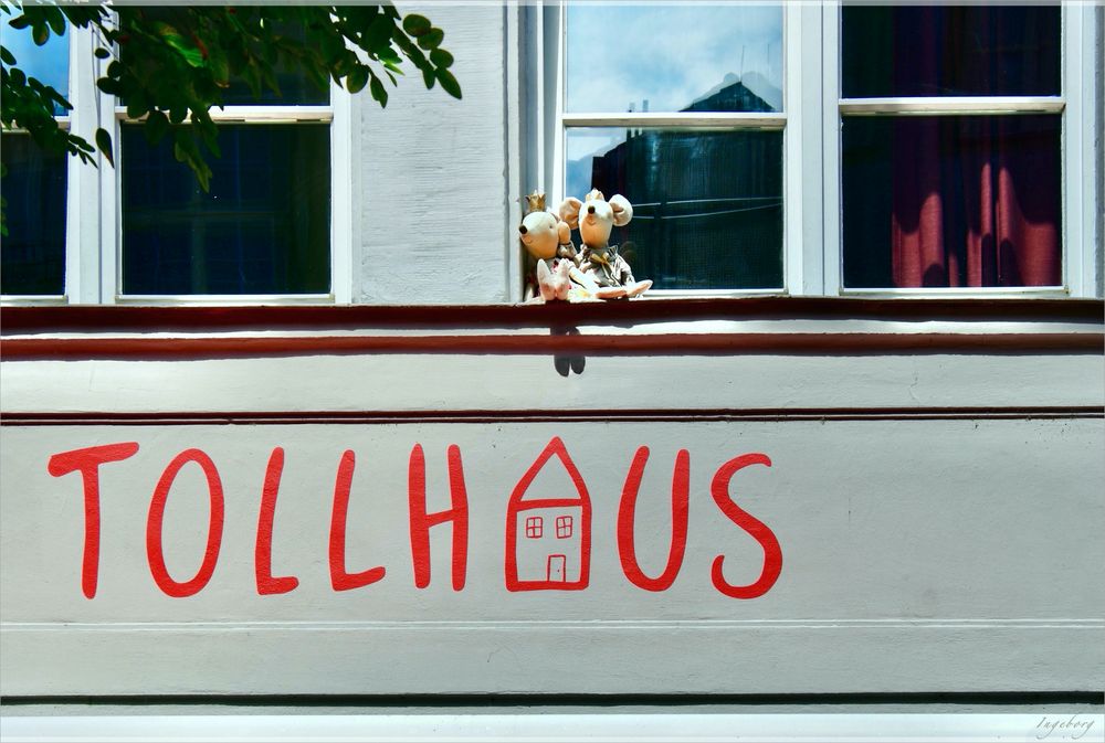 im TOLLHAUS 