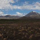 Im Tongariro-Nationalpark