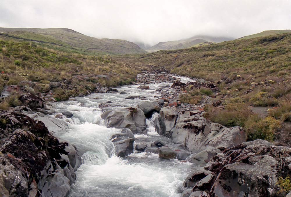 Im Tongariro NP