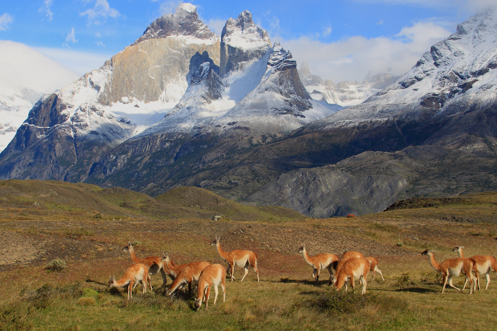 im Torres del Paine Nationalpark