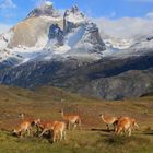 im Torres del Paine Nationalpark