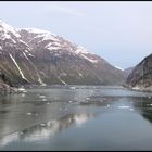 Im Tracy Arm Fjord