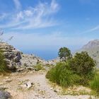 Im Tramuntana Gebirge