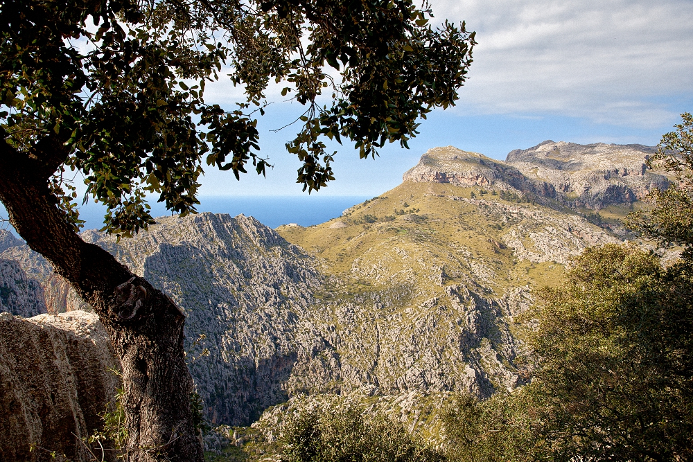 im Tramuntana Gebirge