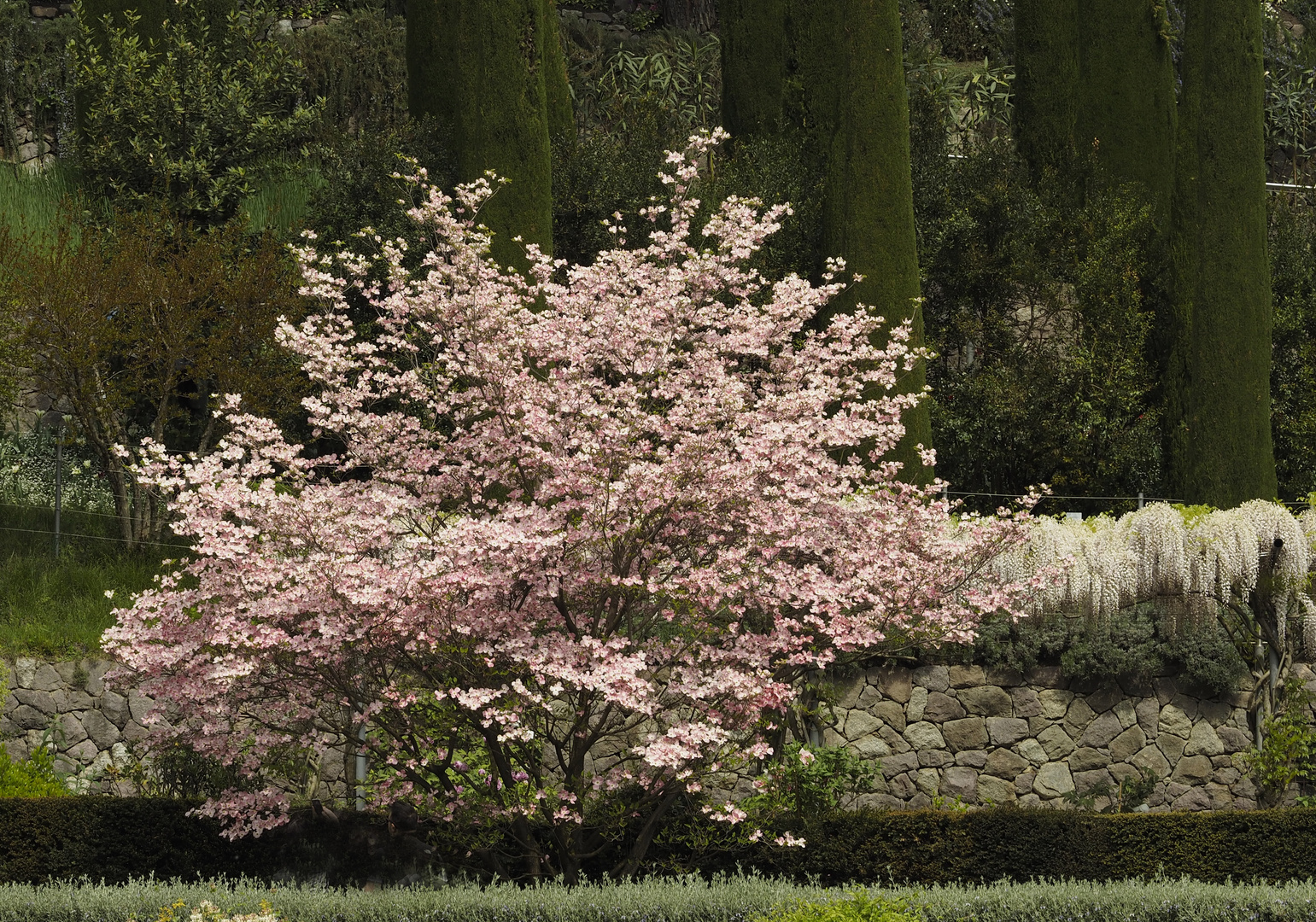 Im Trauttsmansdorff Garten