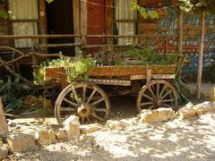 Im Tree House Dorf bei Olympos2