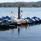 Im "Tretboot-Hafen"