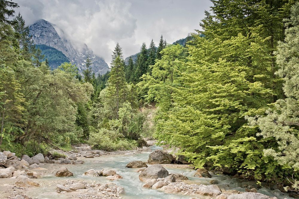 Im Triglav - Nationalpark IV