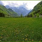 Im Triglav-Nationalpark (Slovenien)