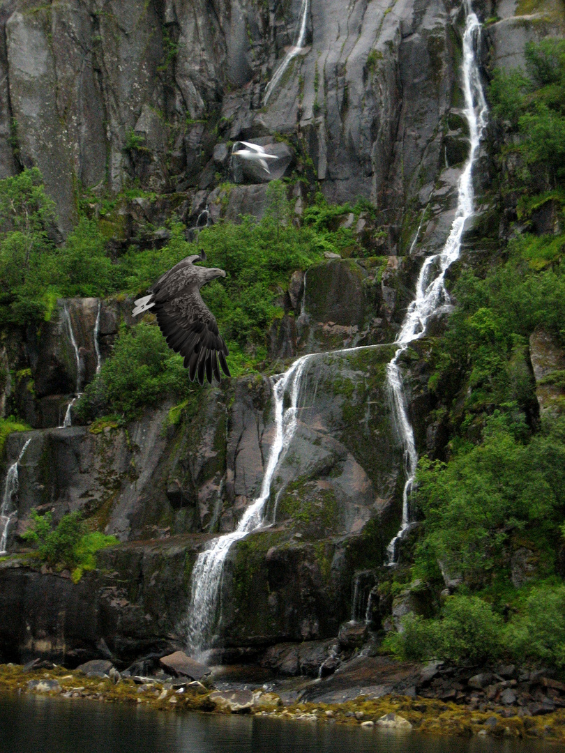 Im "Trollfjord"/Norwegen