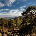 Im Troodos-Gebirge