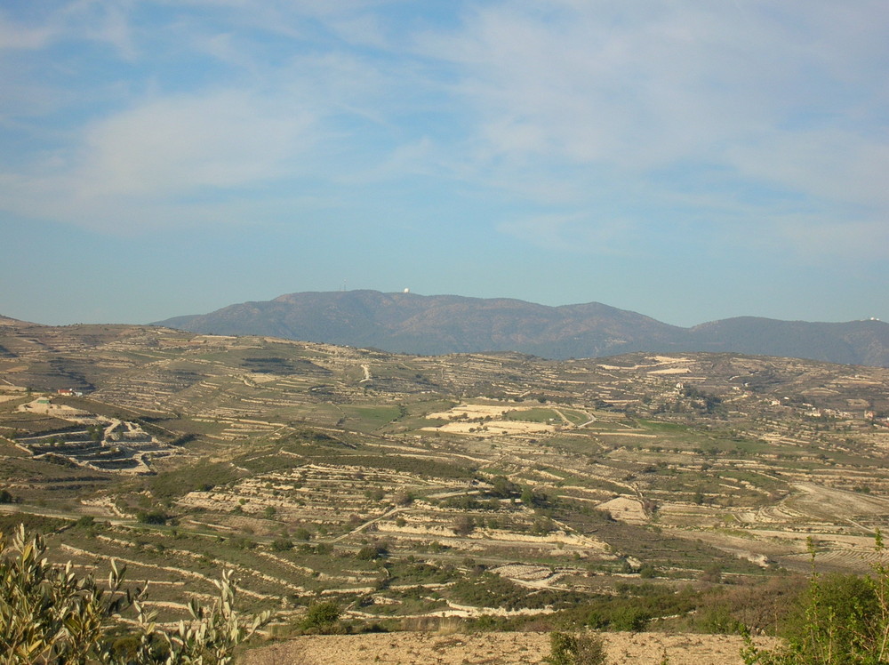 im Troodos Gebirge II