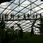 Im Tropenhaus "Gondwanaland" Leipzig