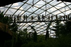 Im Tropenhaus "Gondwanaland" Leipzig