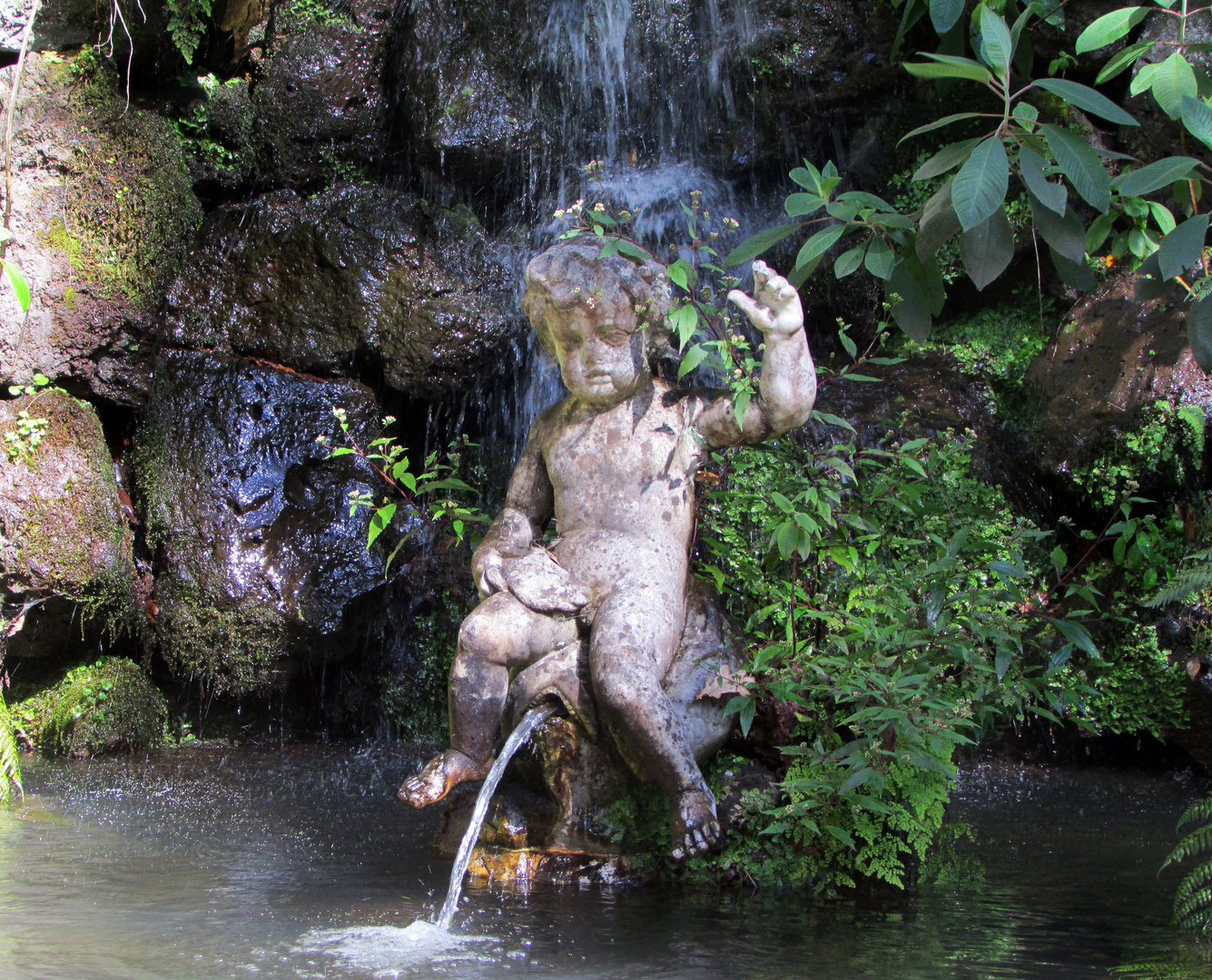 Im Tropical Garden von Funchal