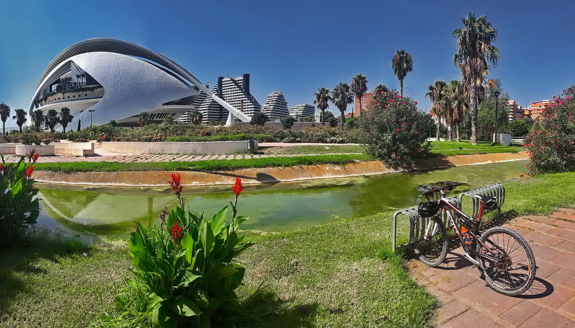 Im Turia Park mit dem Fahrrad