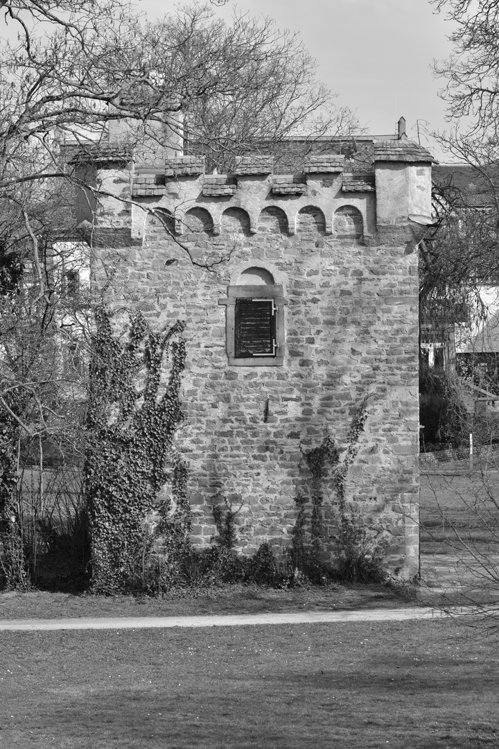 Im Turm, Ladenburg (Bergstraße)