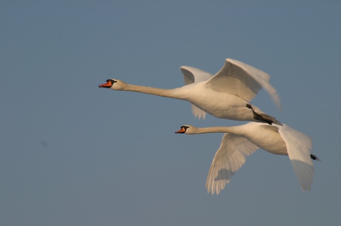 Im Überflug