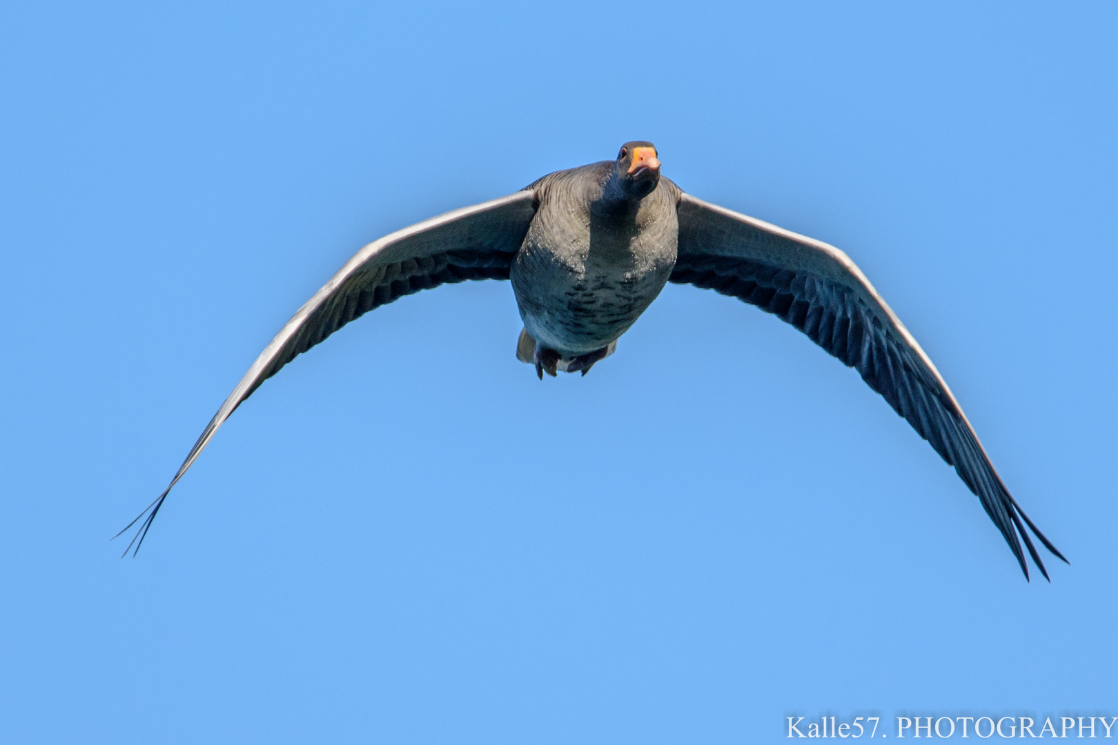 im Überflug