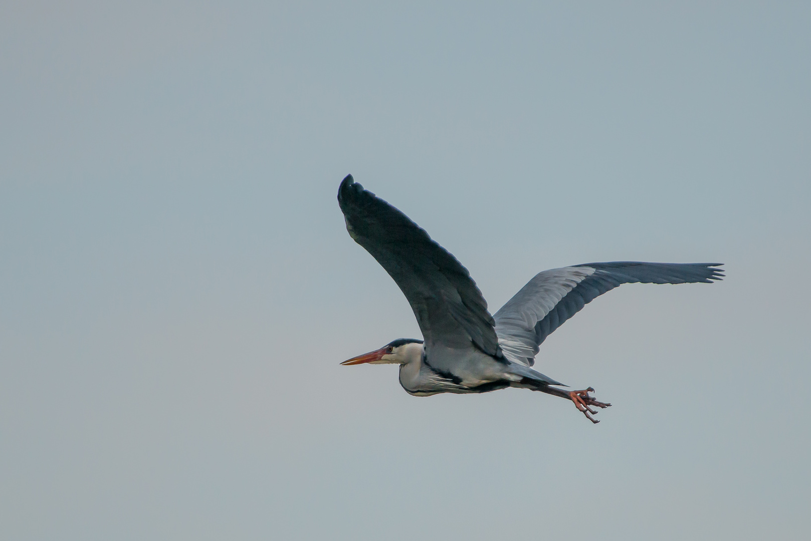 Im Überflug