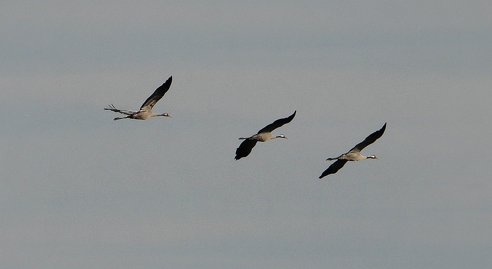 Im Überflug