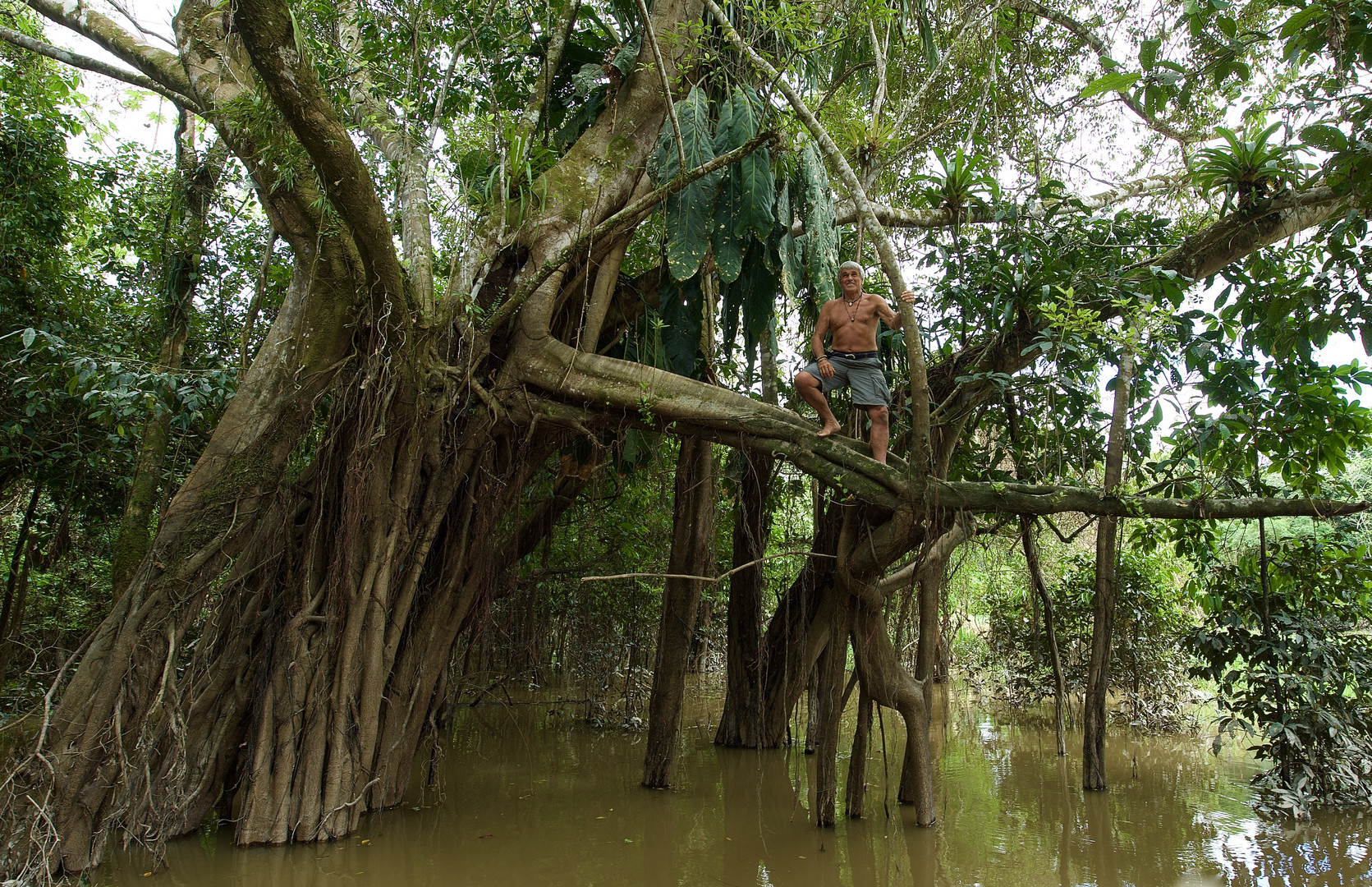 Im überfluteten Regenwald am Amazonas in Peru