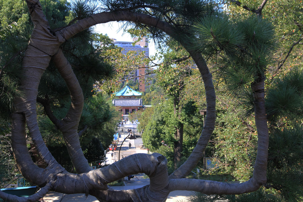 Im Ueno Park Tokyo