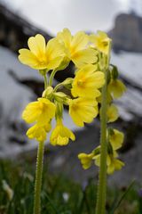 Im Ueschinental