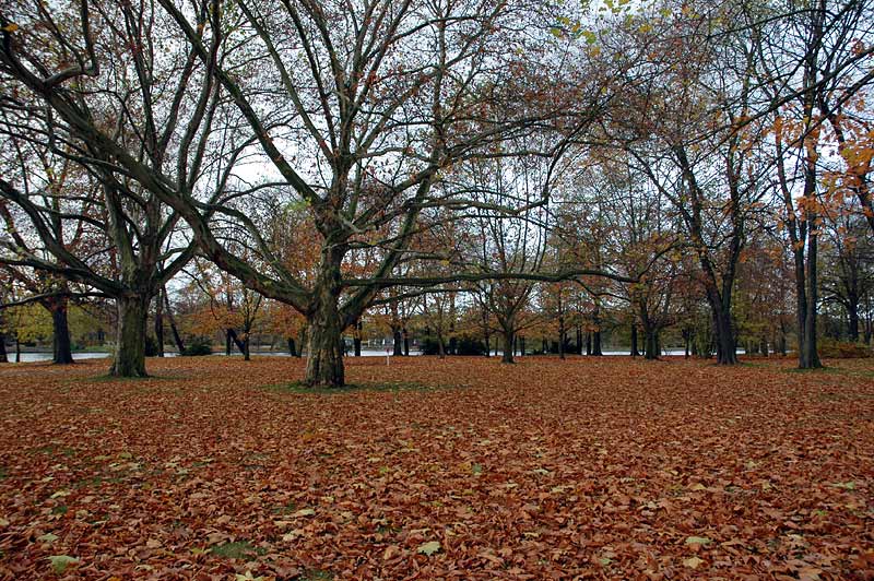 Im Uferpark, auf der Halbinsel Stralau/Berlin