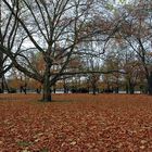 Im Uferpark, auf der Halbinsel Stralau/Berlin