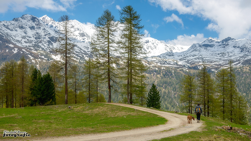 im Ultental