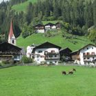 Im Ultental unterwegs