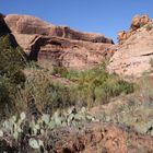 Im Unteren Teil des Negro Bill Canyon bei Moab...