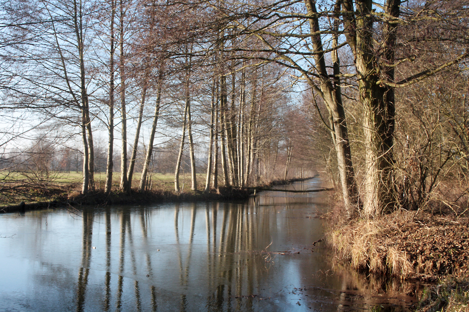 Im Unterspreewald 