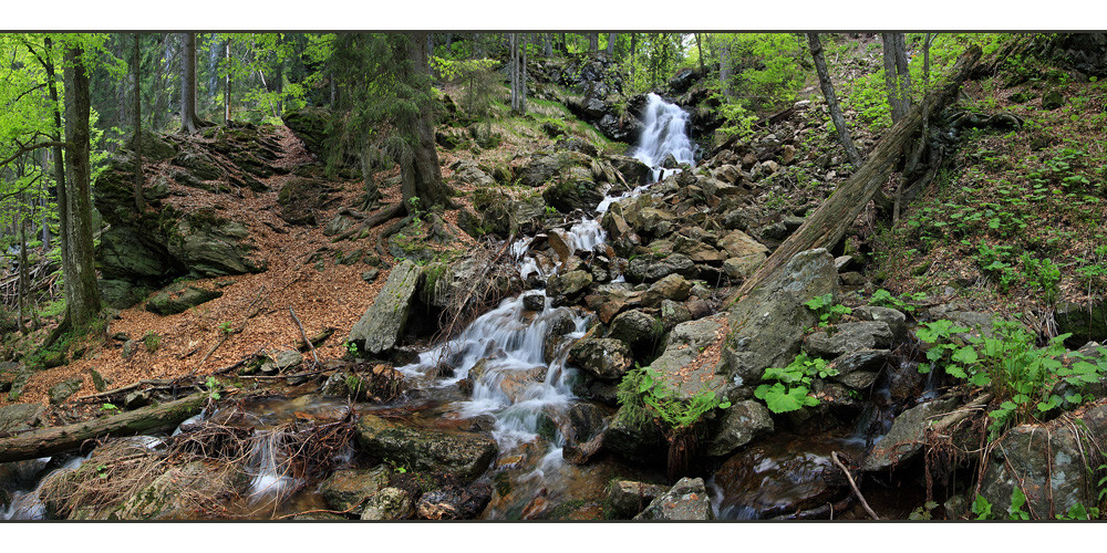 Im Urwald Foto & Bild deutschland, europe, bayern Bilder auf