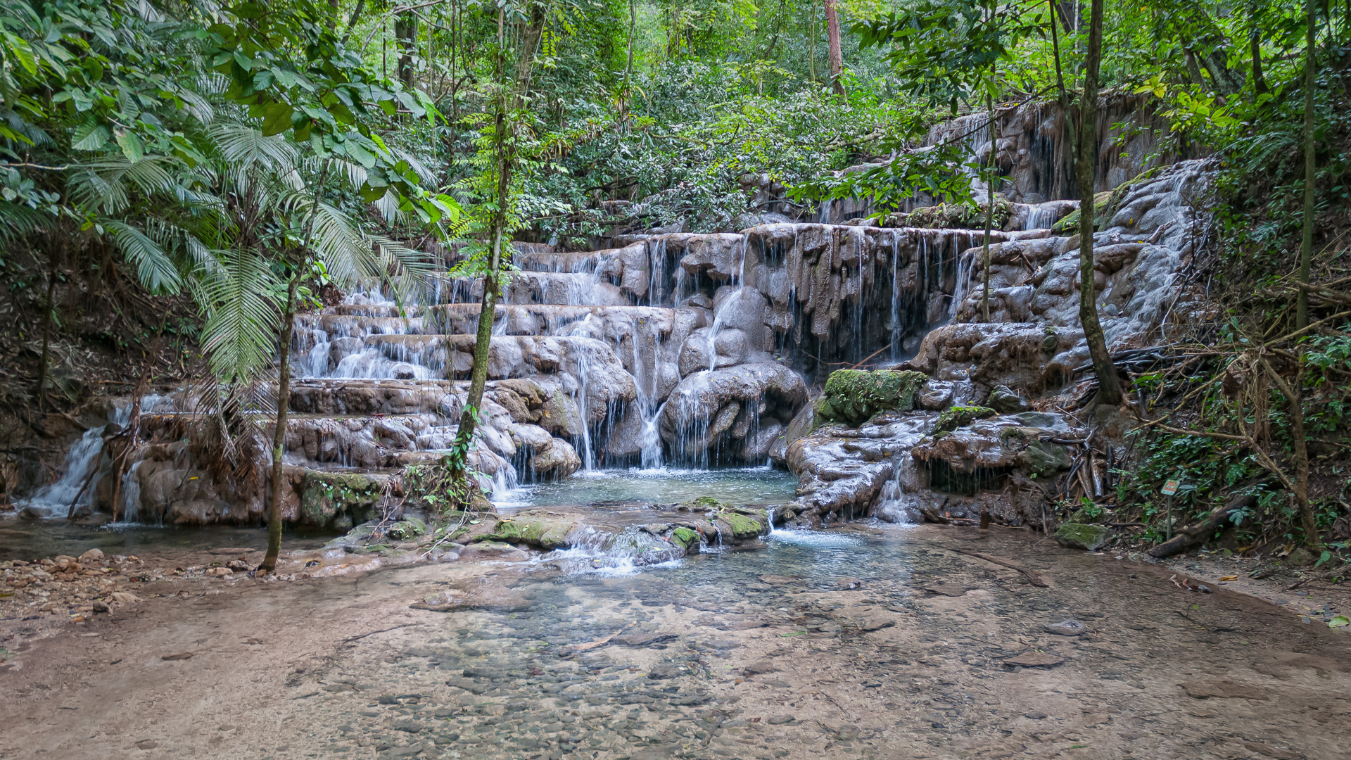 im Urwald von Palenque, Chiapas, Mexico