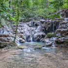 im Urwald von Palenque, Chiapas, Mexico