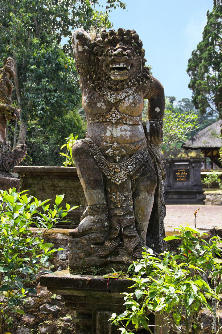 Im Urwaldtempel (Batukaru) 2