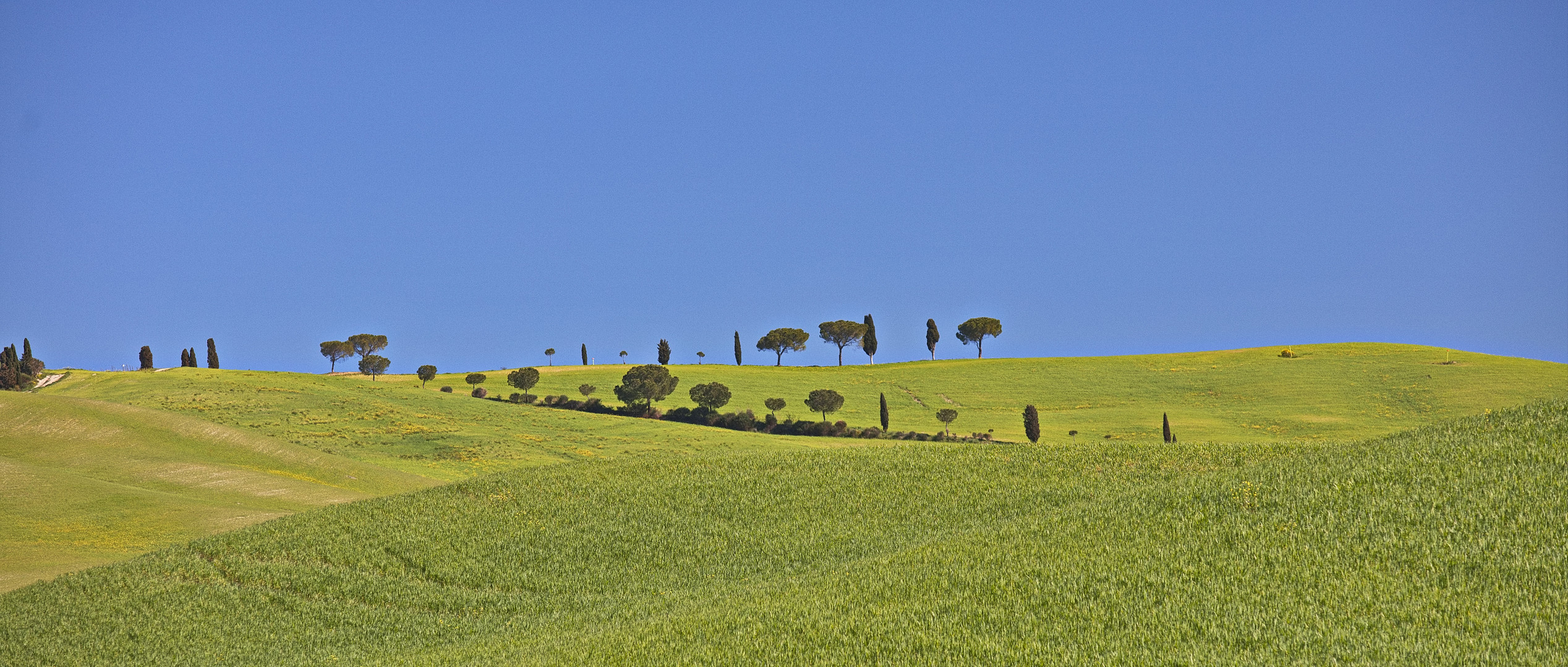 Im Val d Orcia - Toskana 